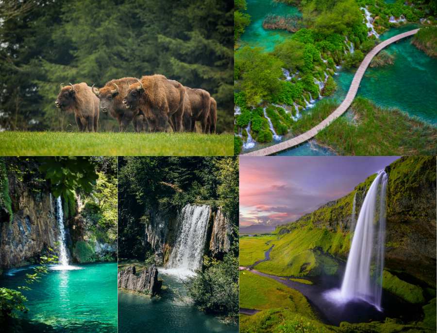 Các khu vườn quốc gia nổi tiếng nhất tại Châu Âu