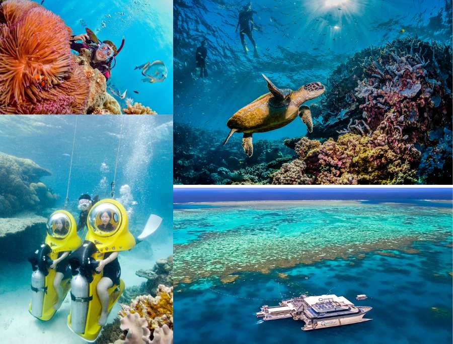 Great Barrier Reef: Thiên đường của những thợ lặn vào mùa hè