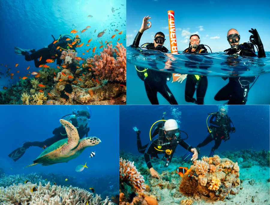 Những trải nghiệm không thể bỏ qua khi du lịch Úc mùa hè