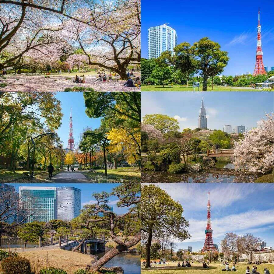 'Lạc lối' trước những công viên đẹp nhất ở Tokyo Nhật Bản
