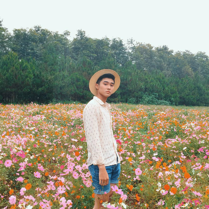 Ba lý do nên đi Đà Lạt ngay bây giờ kẻo lỡ mất 'mùa vàng'