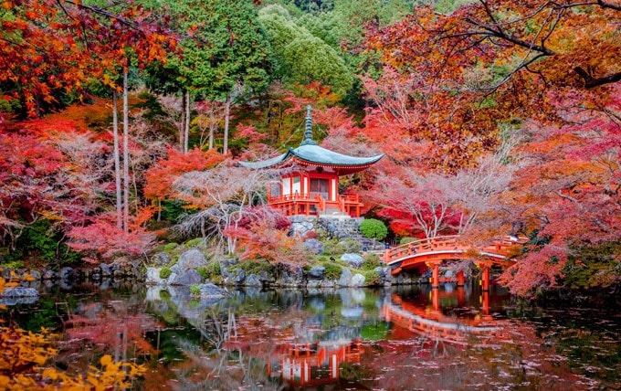 Lạc lối ở Kyoto