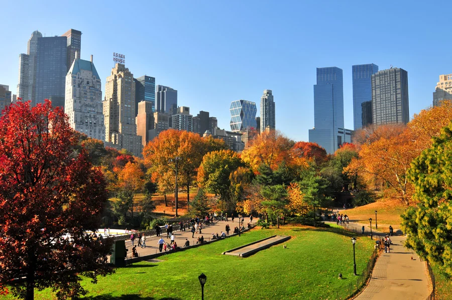 Central Park - 'Mùa yêu đầu' cho những đôi tình nhân