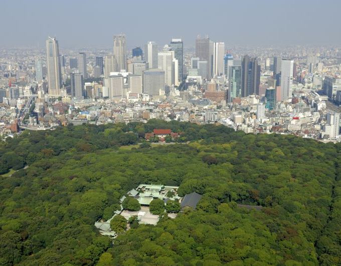 Độc đáo khu rừng tuyệt đẹp giữa lòng thành phố Tokyo