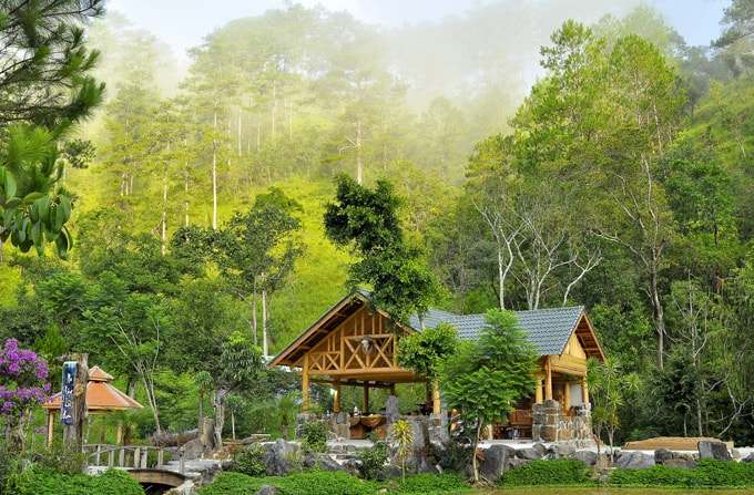 Những quán cà phê đẹp hút hồn ở Đà Lạt