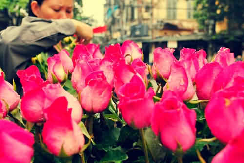 Tổng hợp những địa điểm du lịch 'hot' Tết Giáp Ngọ