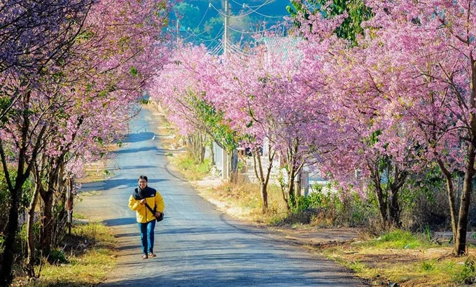 Những điểm đến ít người biết ở Đà Lạt
