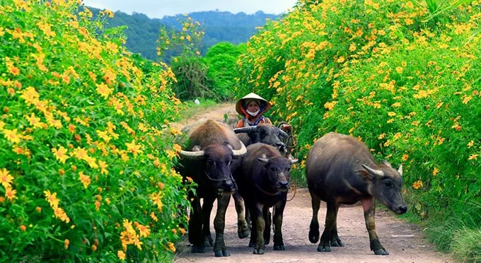 Tháng 10 và những chuyến 'xê dịch' thú vị