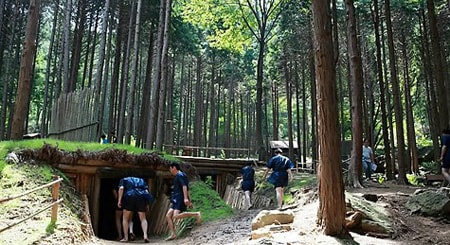 Du lịch miễn phí tại khu rừng 'tắm tiên' Hàn Quốc