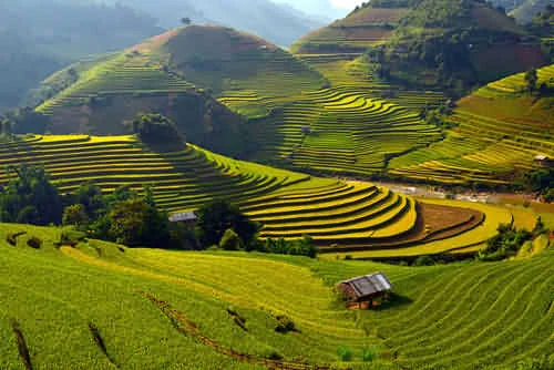 Sự kiện 'Tuần Văn hóa và Du lịch Mù Cang Chải 2014'