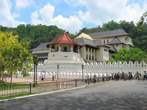 Hành trình tìm đến báu vật Phật giáo