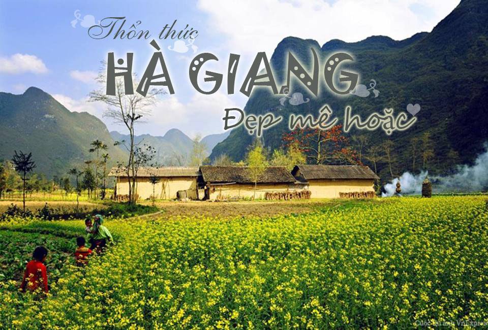 Chiêm ngưỡng 'thiên đường hoa' tháng 3 trên cao nguyên đá Hà Giang