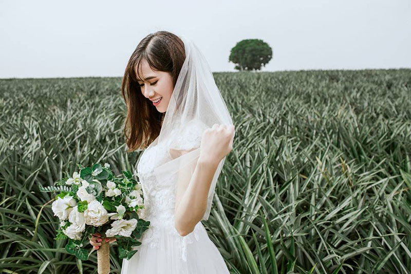 Cánh đồng dứa Ninh Bình - Nơi vẽ 'giấc mơ tình yêu' cho các cặp đôi trẻ