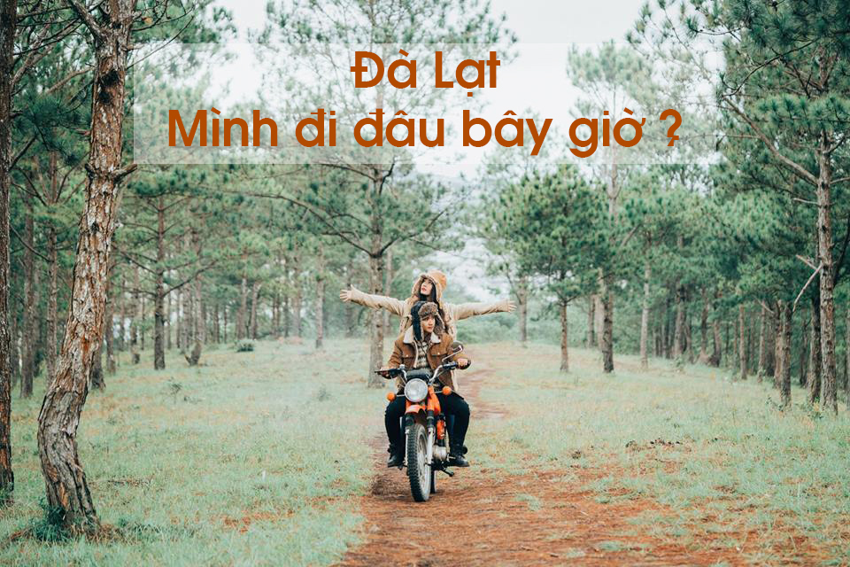 Du lịch Đà Lạt khám phá trọn vẹn thành phố sương mù với bao điều thú vị