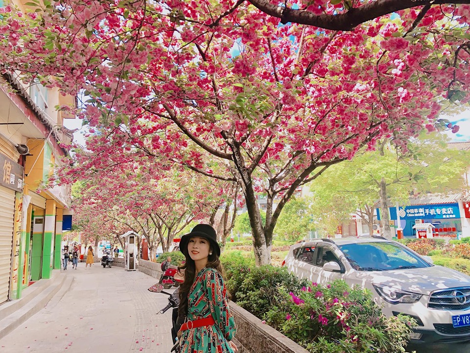 Đi Lệ Giang cổ trấn một chuyến, thương nhớ hết một đời