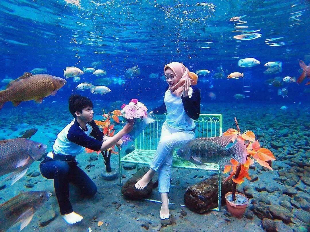 Du lịch Indonesia, hàng loạt du khách nhảy xuống đáy ao để 'sống ảo'