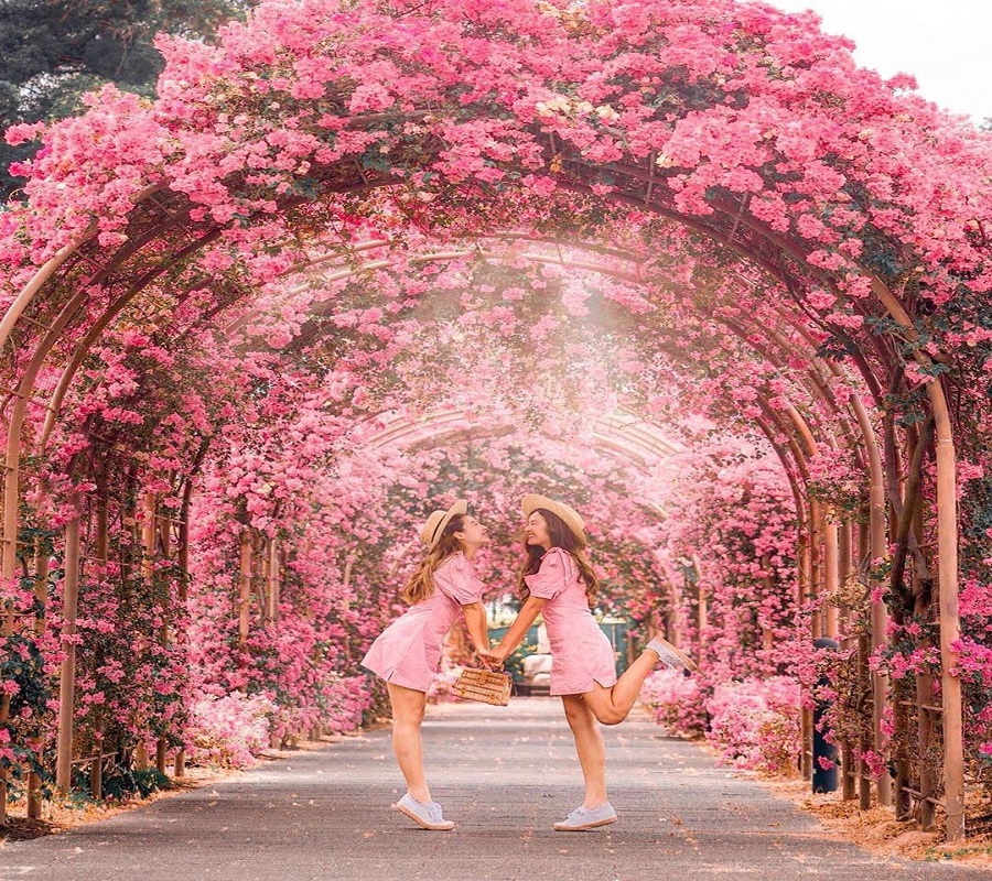 Japanese Cemetery - Địa điểm check-in ở Singapore khiến du khách 'giật mình'