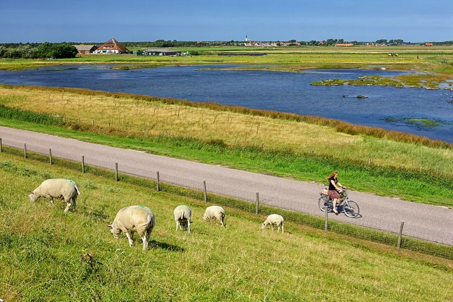 Khám phá đảo Texel - Một 'Hà Lan thu nhỏ' đầy thơ mộng