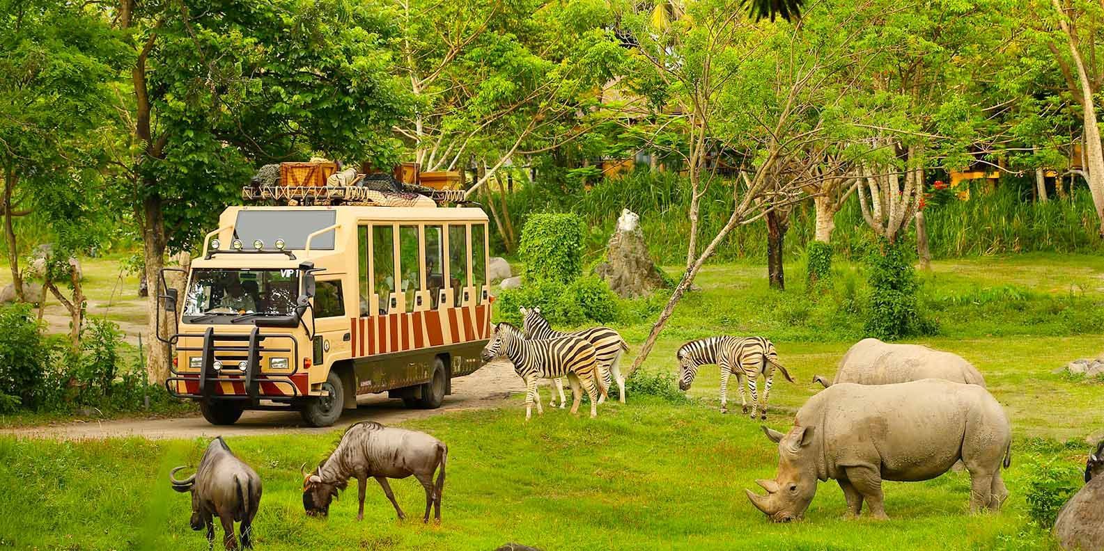 Những thông tin cần biết về Vinpearl Safari Phú Quốc