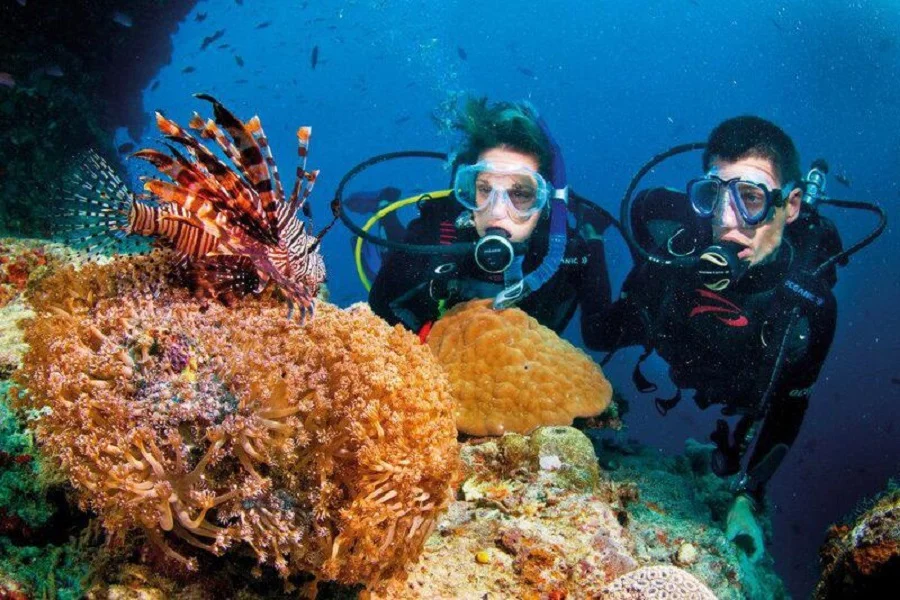 Du lịch Nha Trang dịp Tết – Trải nghiệm lặn biển, ngắm san hô giá chỉ từ 2,58 triệu đồng