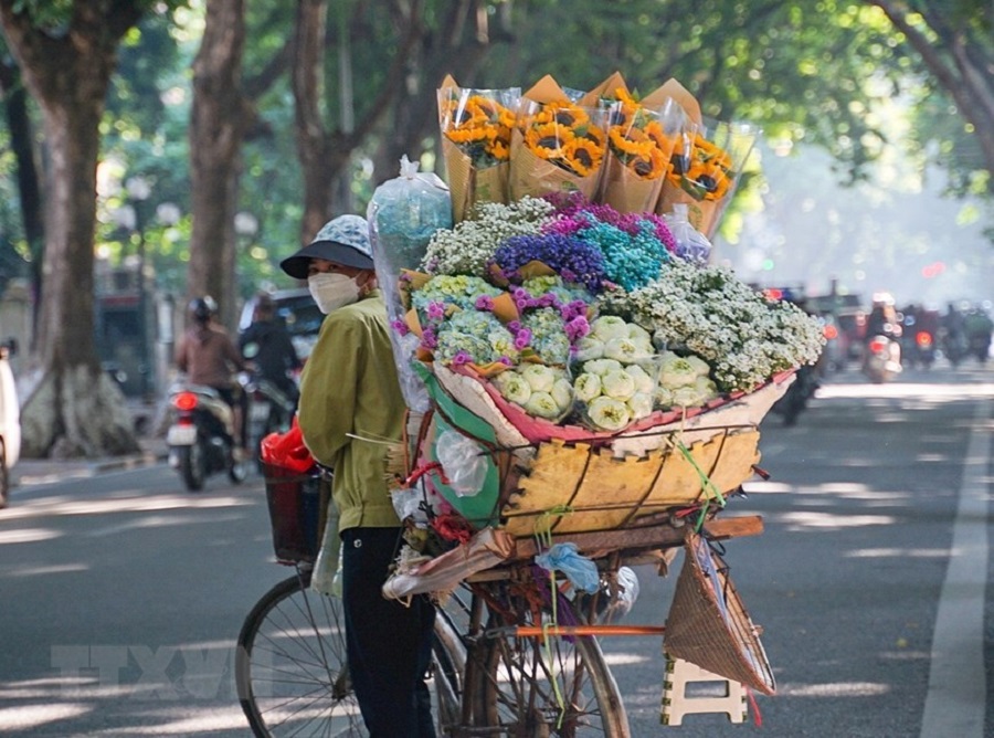 Ngắm những chiếc xe chở mùa trên phố phường Hà Nội