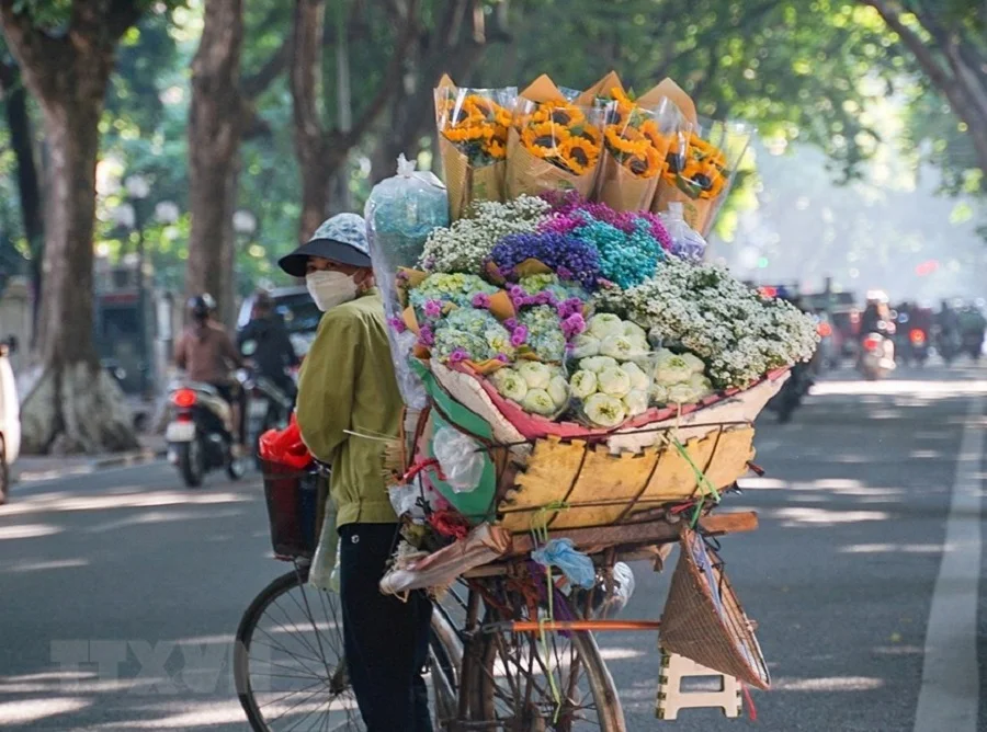 Ngắm những chiếc xe chở mùa trên phố phường Hà Nội