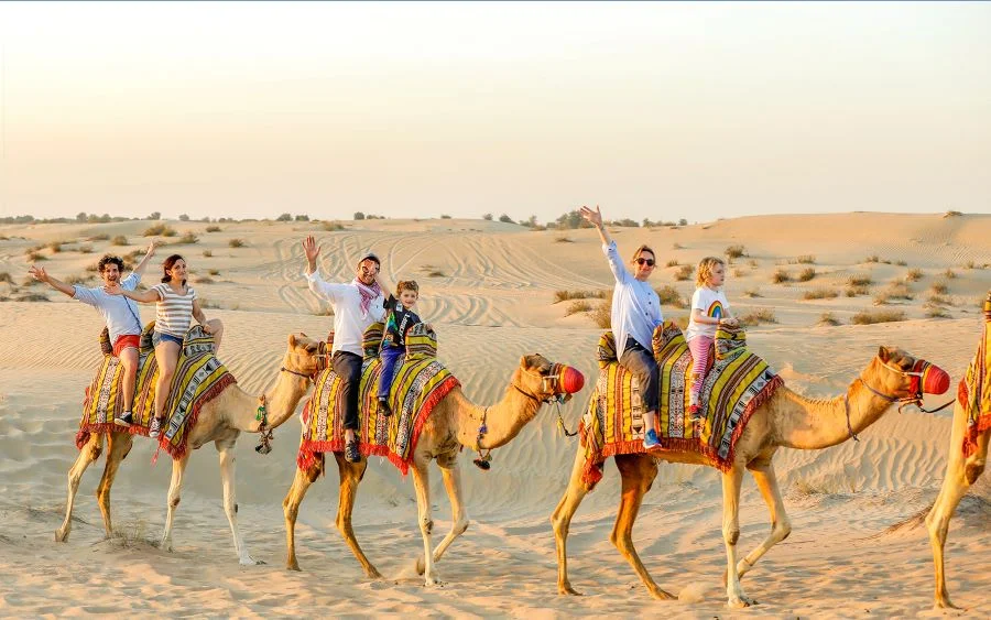 Cưỡi lạc đà - Trải nghiệm thú vị tại Sa mạc Safari của Dubai
