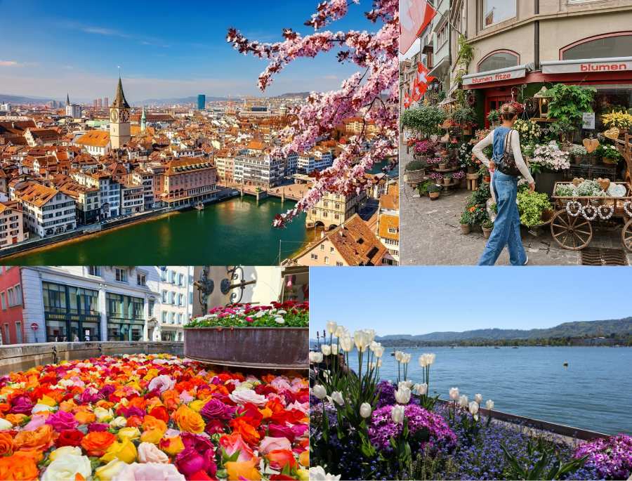 Đặc điểm thời tiết tại thành phố Zurich Thụy Sĩ