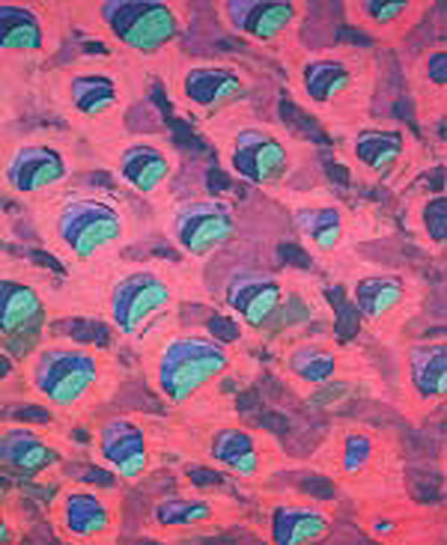 Gặp gỡ mùa hè 2014 Việt- Nhật