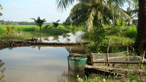 Chuyện 'an cư' miệt sông nước đồng bằng Sông Cửu Long