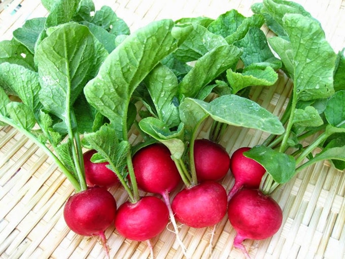 Rau củ 'tí hon' Đà Lạt