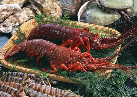 7 đặc sản hấp dẫn nhất ở Côn Đảo