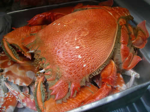 5 món hải sản nên nếm thử khi du lịch Nha Trang