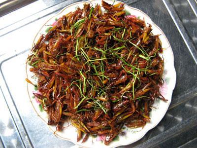 Ngỡ ngàng chợ côn trùng khi đến với du lịch Campuchia