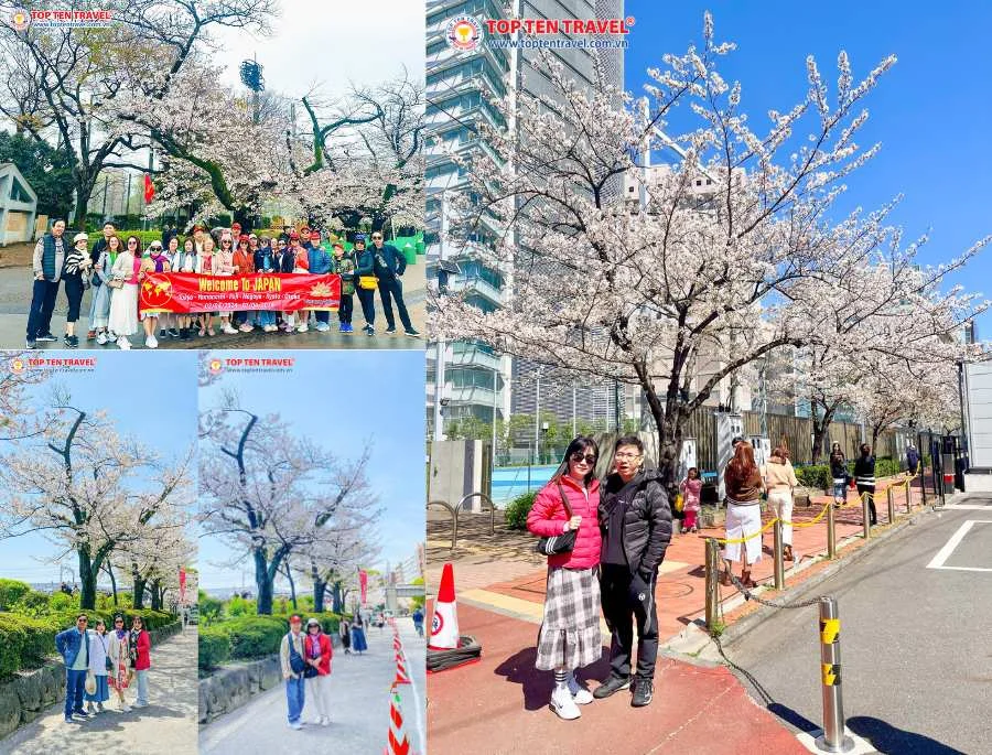 Tour Nhật Bản Mùa Xuân: Narita - Tokyo - Yamanashi - Kyoto - Osaka