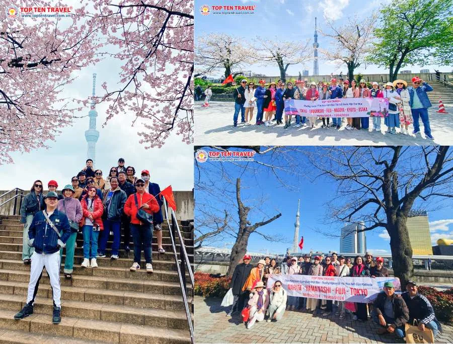 Tour Nhật Bản Mùa Xuân: Narita - Tokyo - Yamanashi - Kyoto - Osaka