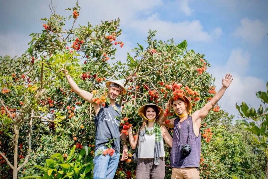 Tour du lịch Mỹ Tho - Bến Tre: Khám phá vùng sông nước