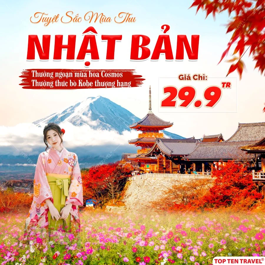 Du Lịch Nhật Bản Ngắm Hoa Cosmos: Tokyo - Yamanashi - Fuji - Nagoya - Kyoto - Osaka 6N5D