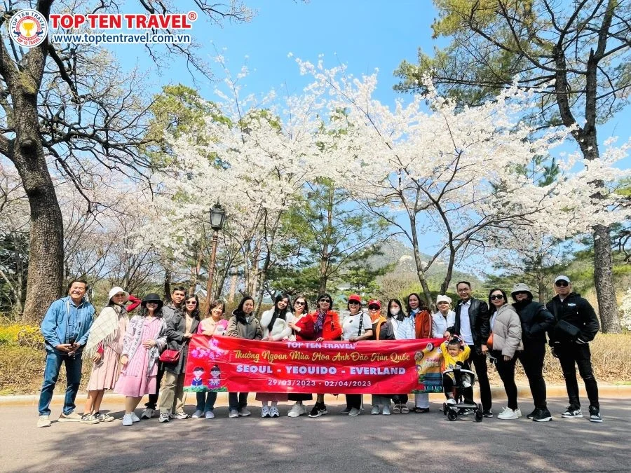 Tour Mice Hàn Quốc
