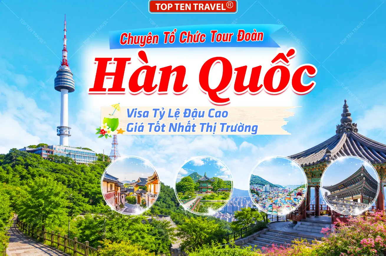 Tour Mice Hàn Quốc