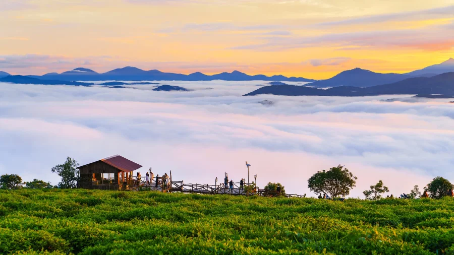 Tour du lịch Đà Lạt Ngàn Hoa 3N3Đ