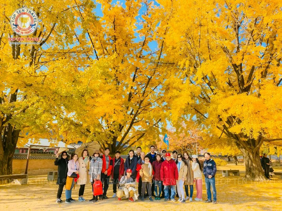 Tour Hàn Quốc Mùa Thu 2026 | Seoul - Nami - Everland - Namsan 4N5D