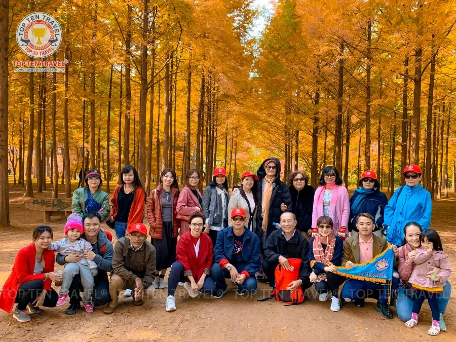Tour Hàn Quốc Mùa Thu 2026 | Seoul - Nami - Everland - Namsan 4N5D
