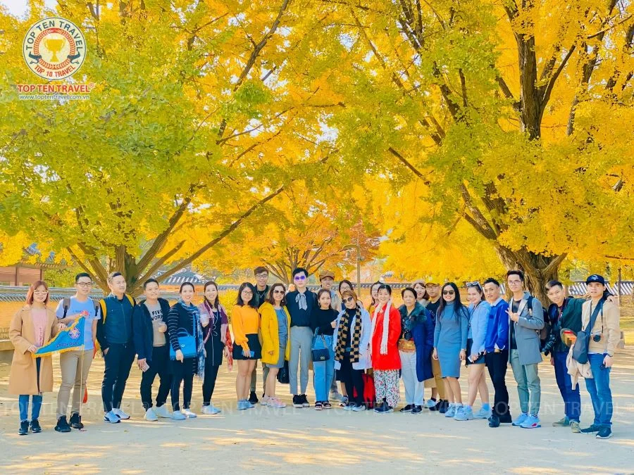 Tour Hàn Quốc Mùa Thu 2026 | Seoul - Nami - Everland - Namsan 4N5D