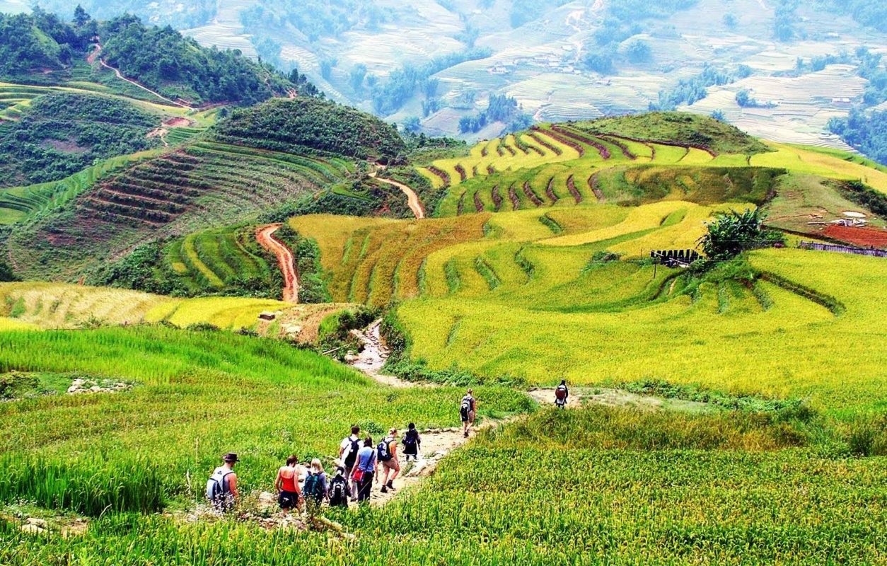 Tour du lịch Sapa 3 ngày 2 đêm: Vị trí, lịch trình, điểm nổi bật, giá bán, kinh nghiệm du lịch