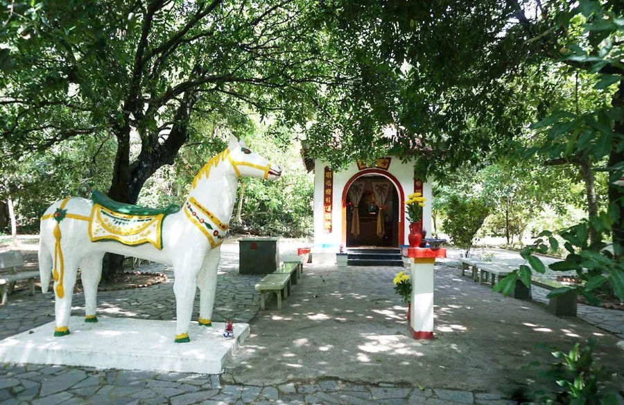 Tour Du Lịch Côn Đảo Huyền Thoại | 3N2D