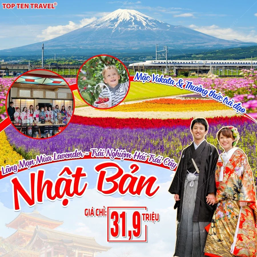 Du Lịch Nhật Bản Ngắm Hoa Cosmos: Tokyo - Yamanashi - Fuji - Nagoya - Kyoto - Osaka 6N5D