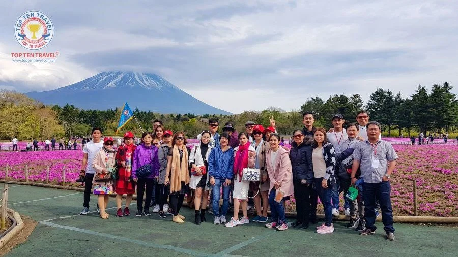 Du Lịch Nhật Bản Ngắm Hoa Cosmos: Tokyo - Yamanashi - Fuji - Nagoya - Kyoto - Osaka 6N5D