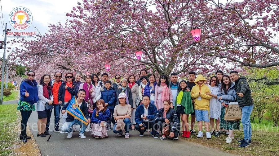 Du lịch Nhật Bản Ngắm Hoa Kokia: Narita - Yamanashi - Tokyo 5N4Đ
