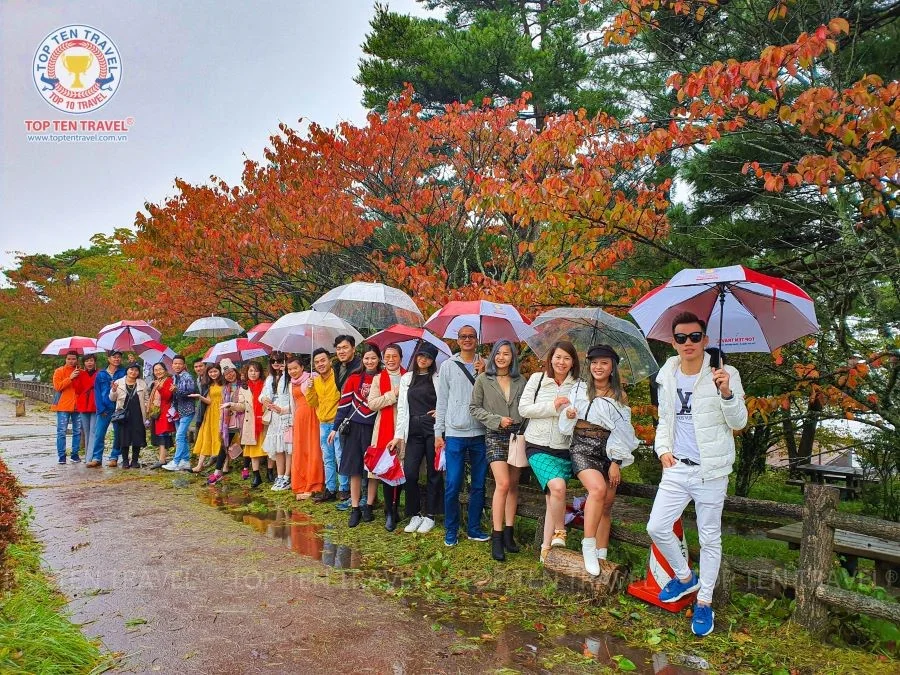Du lịch Nhật Bản Ngắm Hoa Kokia: Narita - Yamanashi - Tokyo 5N4Đ
